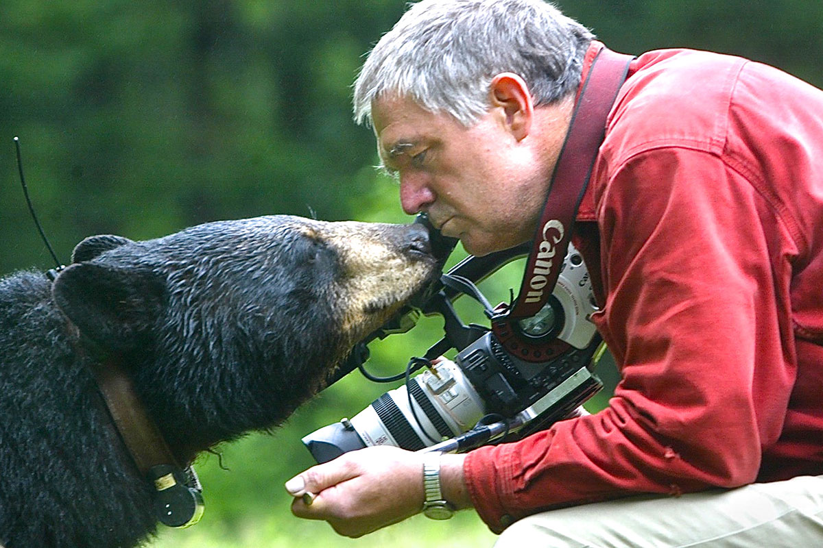Nationally Recognized Wildlife Biologist to Present Talk on Black Bears Presented by the Nature Museum at Grafton