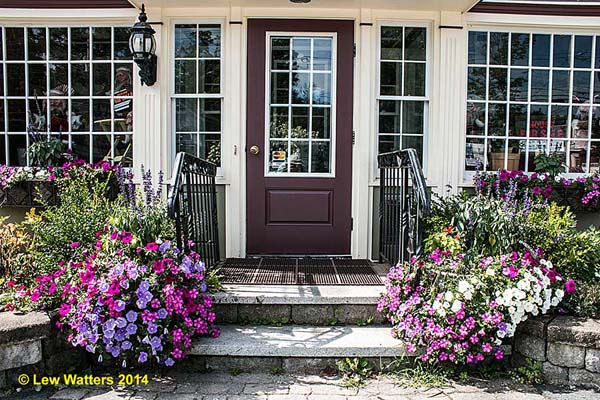 Thanks to a group of hard-working and thoughtful citizens, our town of Chester has enjoyed beautiful flower arrangements throughout our village.